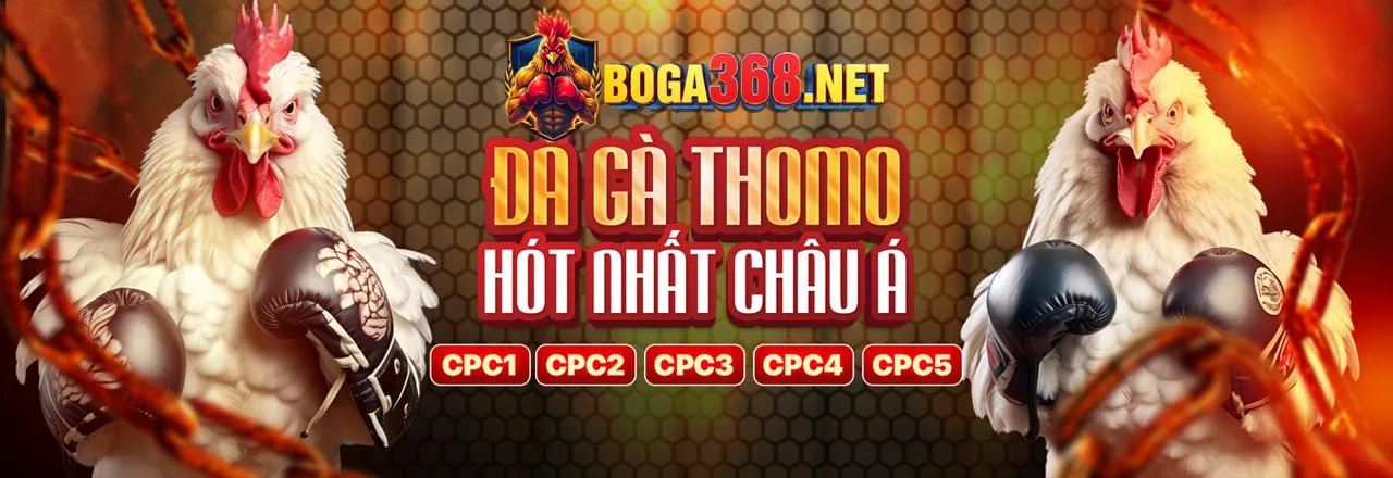 Cookie Quảng Cáo tv888 game